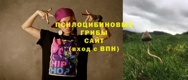 2c-b Михайлов