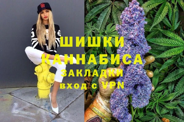 2c-b Михайлов