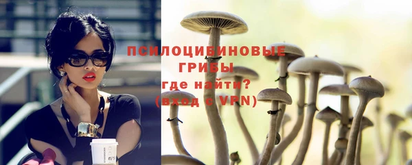 a pvp Михайловск