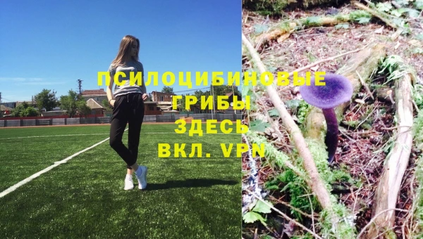 a pvp Михайловск