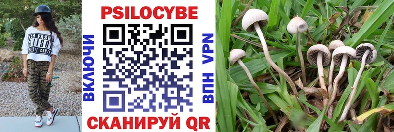 купить закладку  Томилино  Галлюциногенные грибы MAGIC MUSHROOMS 
